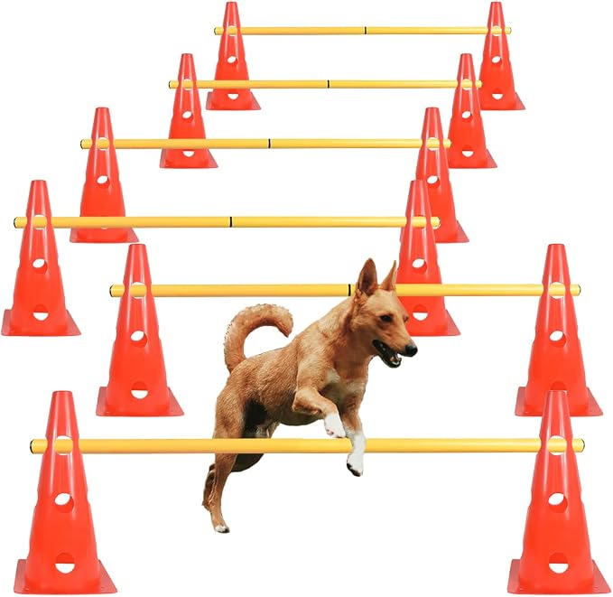 Training & Behavior Aids