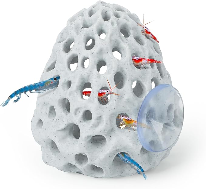 Aquarium Accessories