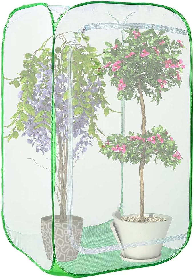 Gardening & Lawn Care