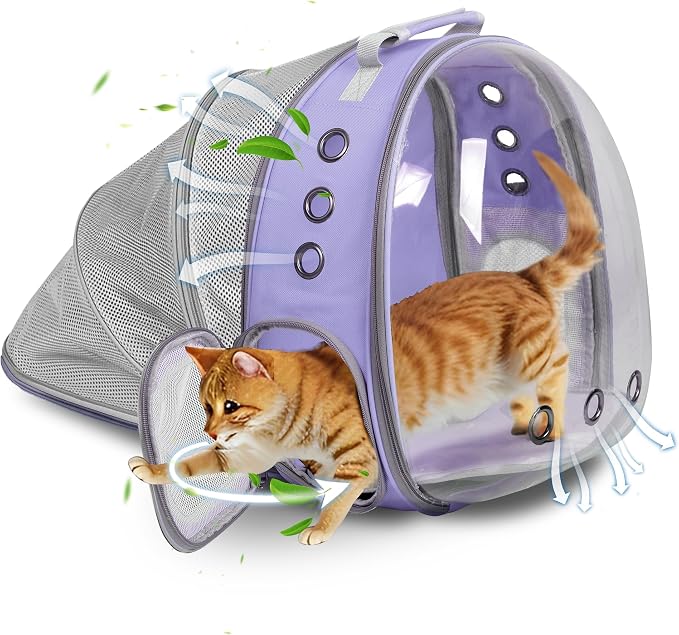 Carriers & Travel Products
