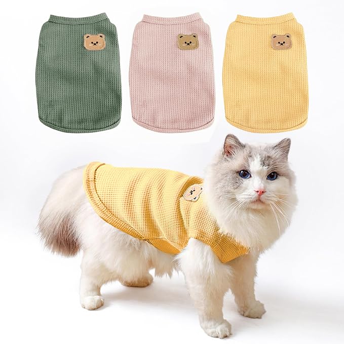 Apparel