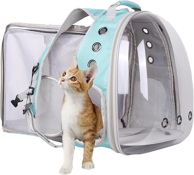 Carriers & Strollers