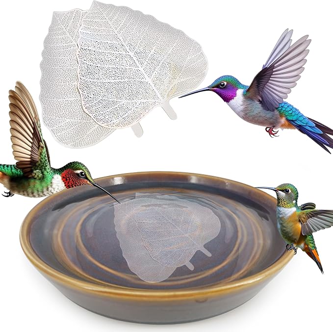 Backyard Birding & Wildlife
