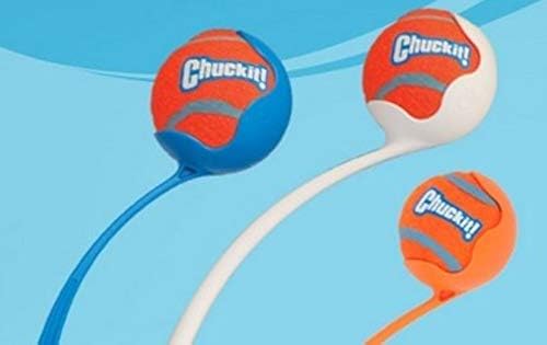 Chuckit! Dog Tennis Ball Dog Toy, Large - Image 10