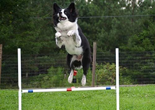 Dog Agility Bar Jump, Exercise Hurdles Backyard Agility Equipment - Image 2