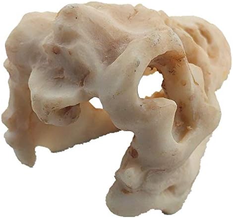 Resin Dinosaur Skull Aquarium Ornament Mini Dinosaur Tank Decoration Betta Fish - Image 5