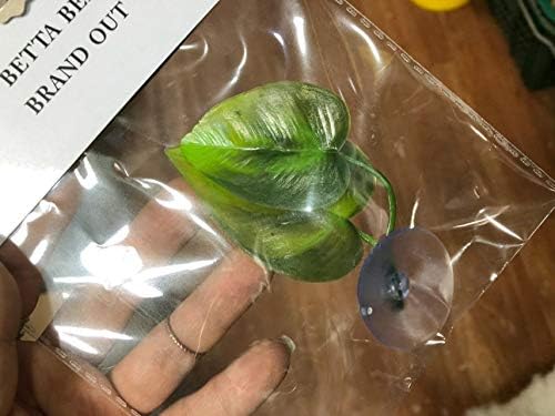 CousDUoBe 4 Pack Betta Fish Leaf Pad Improves Betta's Health by Simulating The - Image 6