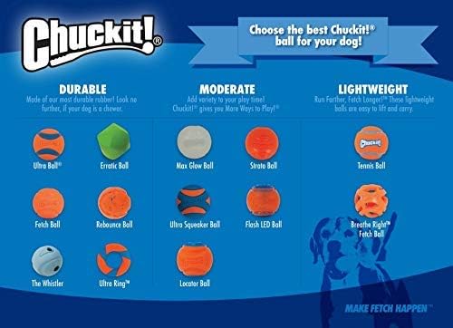 Chuckit! Dog Tennis Ball Dog Toy, Large - Image 5