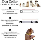 Roses&Poetry Reflective Dog Collar - Image 7