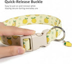 Dog Collar, Spring Summer Dog Collar - Image 3