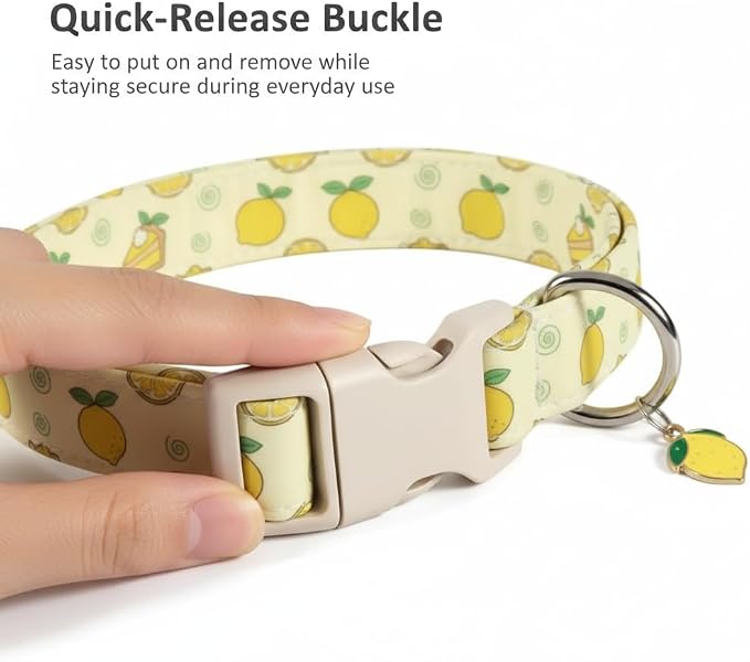 Dog Collar, Spring Summer Dog Collar - Image 2