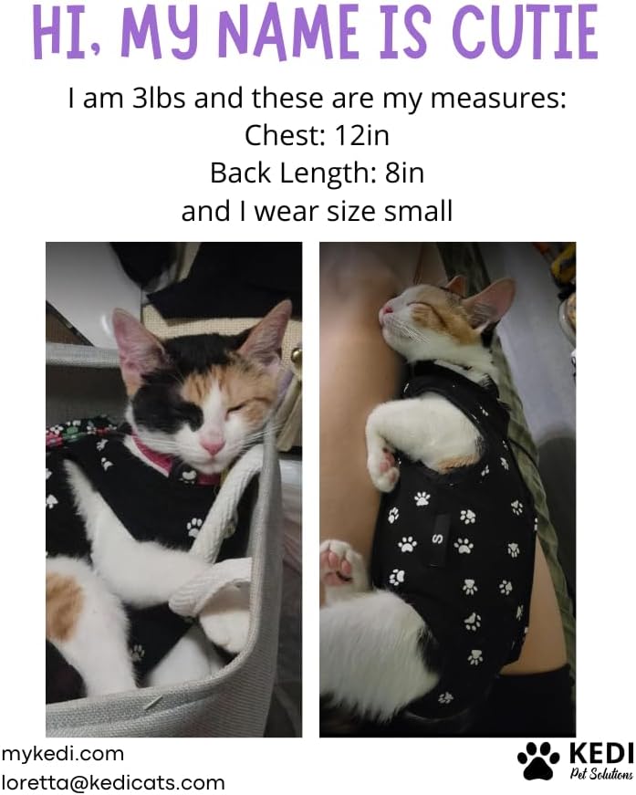 Cat Surgery Recovery Suit Female Cat Onesie - Image 7