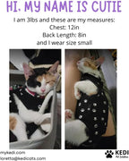 Cat Surgery Recovery Suit Female Cat Onesie - Image 7