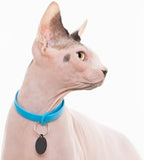 5 Pack Breakaway Cat Collar - Image 8