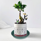 6 Pack Plastic Plant Saucer Planter Water Drip Tray, 4 5 6 7 8 9 10 11 12 inch - Image 6