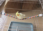 Bird Rope Perches, Parrot Toys 48 inches Rope Bungee Bird Toy - Image 9