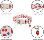 Small Dog Collar, Cute Dog Collar - Image 2