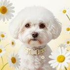 Cute Dog Collar, Spring Summer Design Floral Collar - Image 8