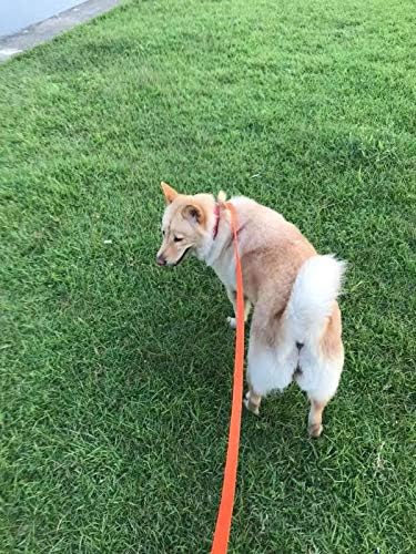 AMAGOOD Dog/Puppy Obedience Recall Training Agility Lead-15 ft 20 ft 30 ft 50 - Image 5