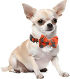 Orange Plaid Bow Cat Collar - Image 2