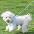 AIITLE Comfortable Dog Harness and Leash Set - Image 7