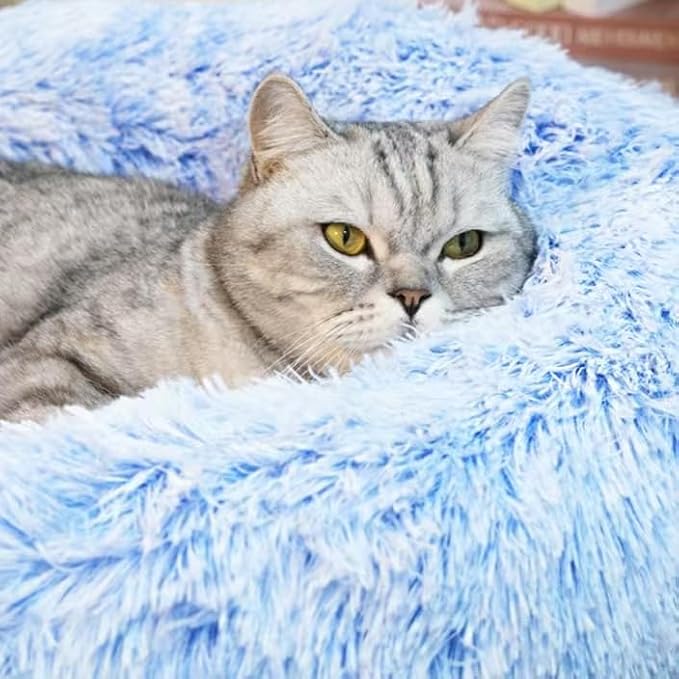 Cat Beds for Indoor Cats - Image 2
