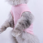 Custom Dog Shirt, Personalized Pet Apparel - Image 4