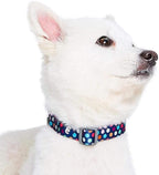 Blueberry Pet Essentials Rainbow Polka Dots Adjustable Dog Collar, Neck - Image 3
