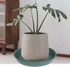 3 Pack of 25 26 inch Plant Saucer, 4.2" Depth, Large Deep Plastic Flower - Image 5