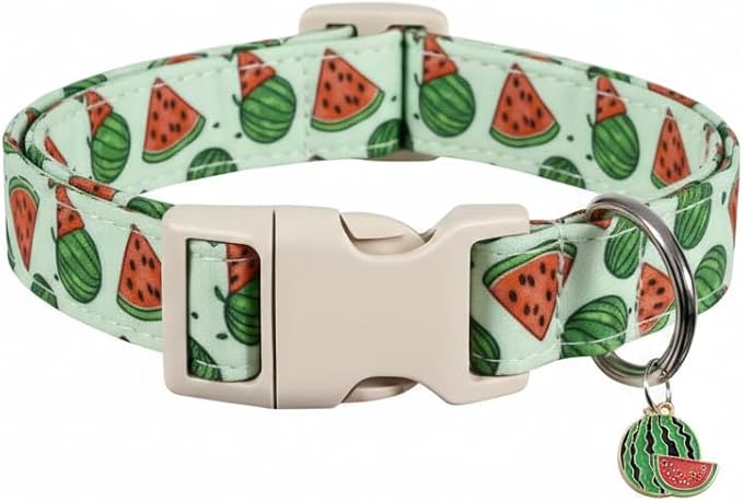 Summer Dog Collar for Medium Dogs, Cute Dog Collar by Britwicfr