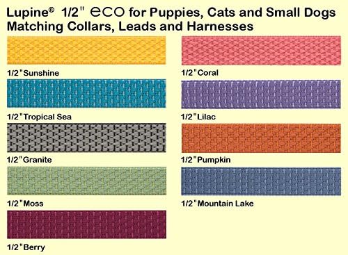 LupinePet Eco 1/2" Mountain Lake Cat Safety Collar - Image 2