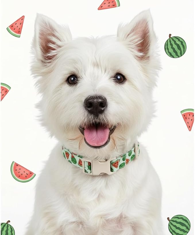 Summer Dog Collar for Large Dogs, Cute Dog Collar - Image 7