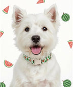 Summer Dog Collar for Medium Dogs, Cute Dog Collar - Image 7