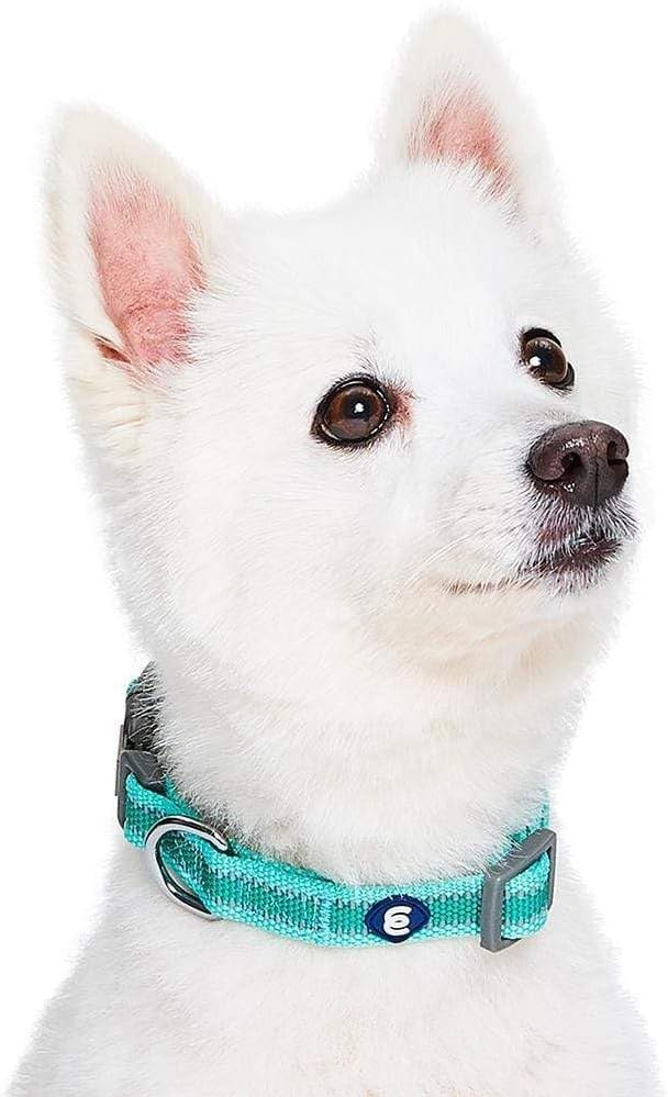 Blueberry Pet Essentials Matching Small Dog Collar | Adjustable Classic Solid - Image 3