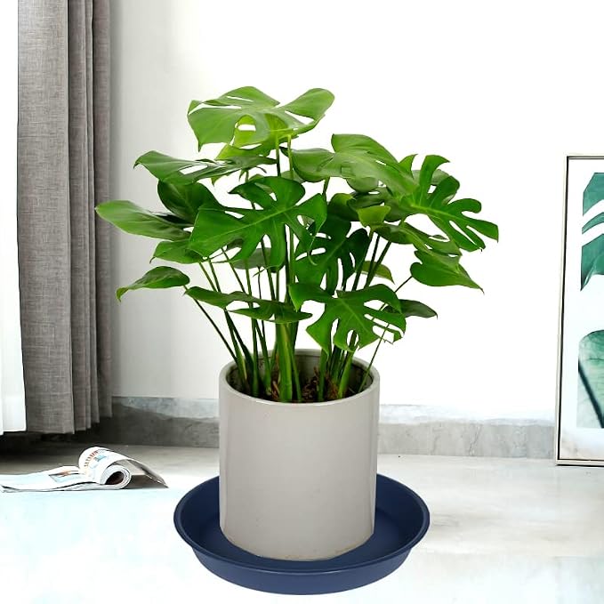 6 Pack of 8 inch Plant Saucer Blue, Plastic Plant Water Tray 8 inch Round - Image 5