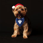 Dog Tuxedo, Formal Dog Wedding Bandana Adjustable Pet Collar - Image 6