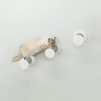 Trixie Wall Mount XXL Cat Climbing Steps, Cat Furniture, Scratching Post - Image 7
