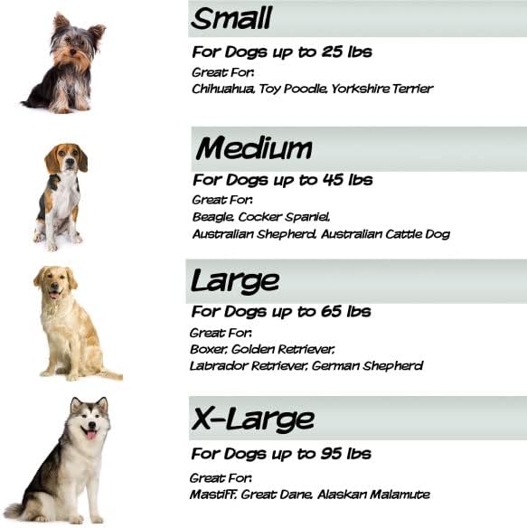 Memory Foam Dog Bed - Image 5
