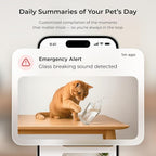 Petcube Cam 360 The Pack of 2 Camera | Ultimate Interactive WiFi Pet and Home - Image 4