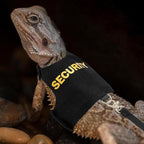 Bearded Dragon Carrier Backpack - Image 5