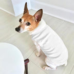 Custom Dog Shirt Pet Clothes Breathable Shirts - Image 5