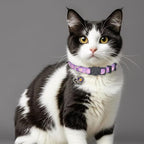 Cat Collar Breakaway, 2 Pack Cotton Cats Collars - Image 3