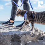 RC Pets Adventure Kitty Cat Harness | Adjustable Airmesh Vest - Image 6