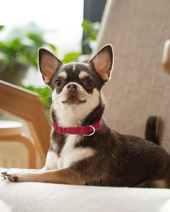 Dynmeow Soft and Breathable Cotton Dog Collar, Durable Adjustable Pet Collar - Image 7