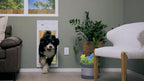 Power Pet Automatic ROLL UP Door by High Tech Pet Brand, Motorized Panel Rolls - Image 3