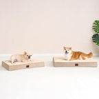 EHEYCIGA Orthopedic XXL Dog Beds - Image 9
