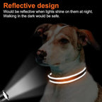 Joytale Dog Collar, Soft Neoprene Padded Breathable Nylon Pet Collar Adjustable - Image 5