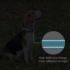 Reflective Dog Collar Padded - Image 5