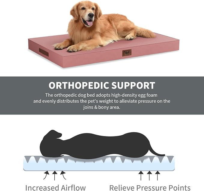 Outdoor Dog Bed for Small Dogs, Waterproof Dog Crate Bed for Medium Dogs Cats - Image 3
