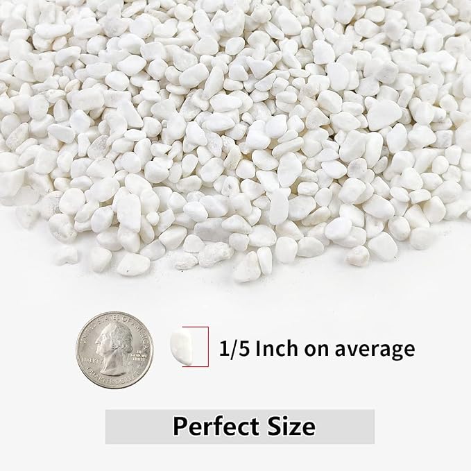 2LB Succulent and Cactus Gravel Pebbles, 1/5 Inch White Natural Decorative - Image 2